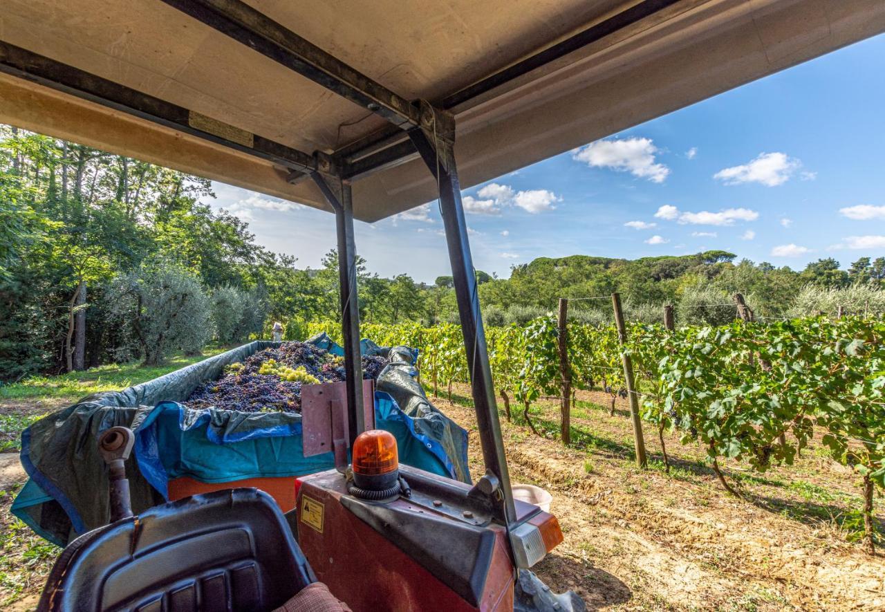Podere Sant'Antonio Fauglia المظهر الخارجي الصورة