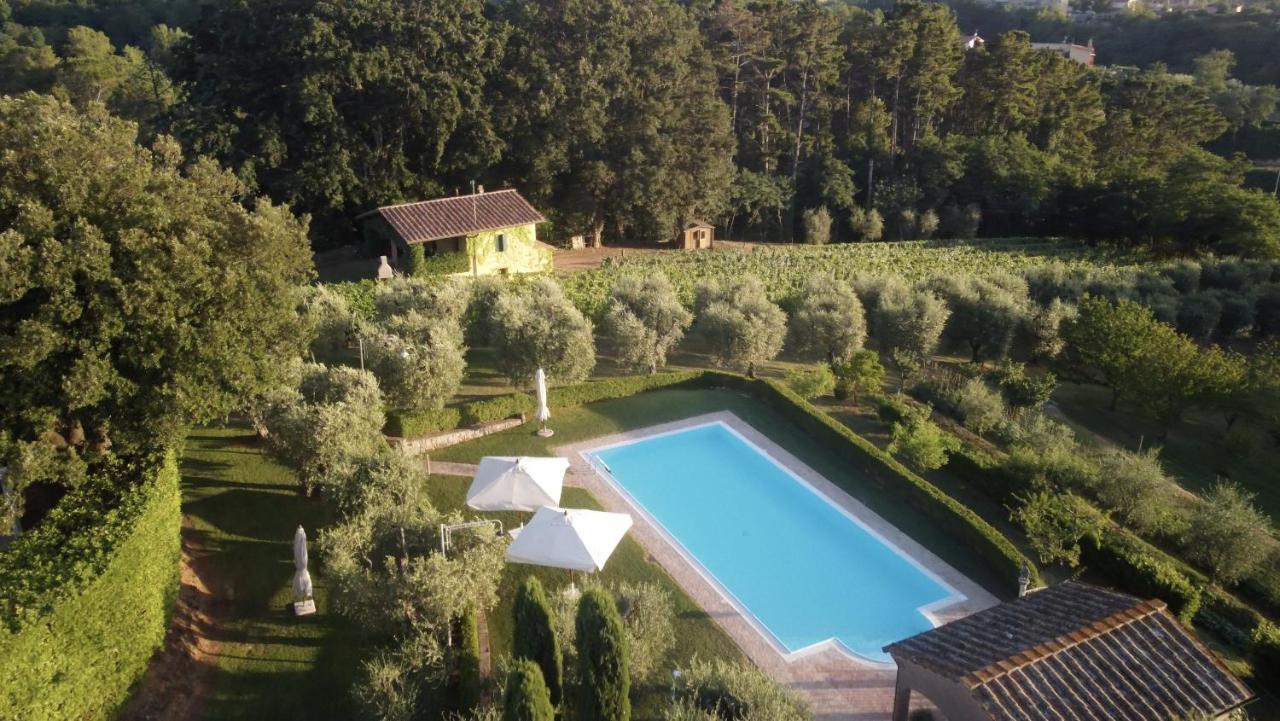 Podere Sant'Antonio Fauglia المظهر الخارجي الصورة