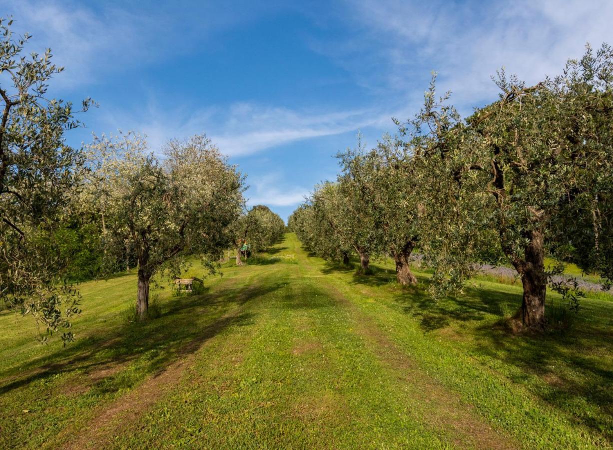 Podere Sant'Antonio Fauglia المظهر الخارجي الصورة