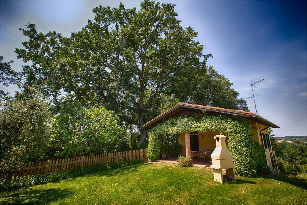 Podere Sant'Antonio Fauglia المظهر الخارجي الصورة