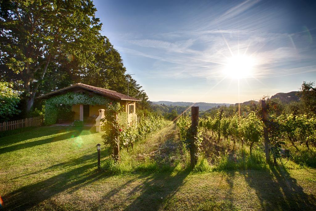 Podere Sant'Antonio Fauglia المظهر الخارجي الصورة